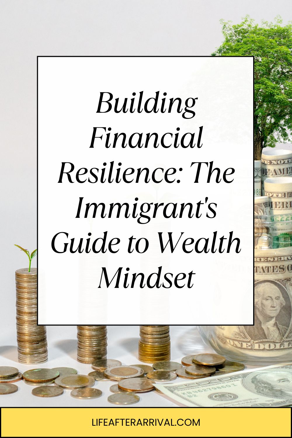 Financial Resilience Guide to Wealth Mindset for immigrant's
