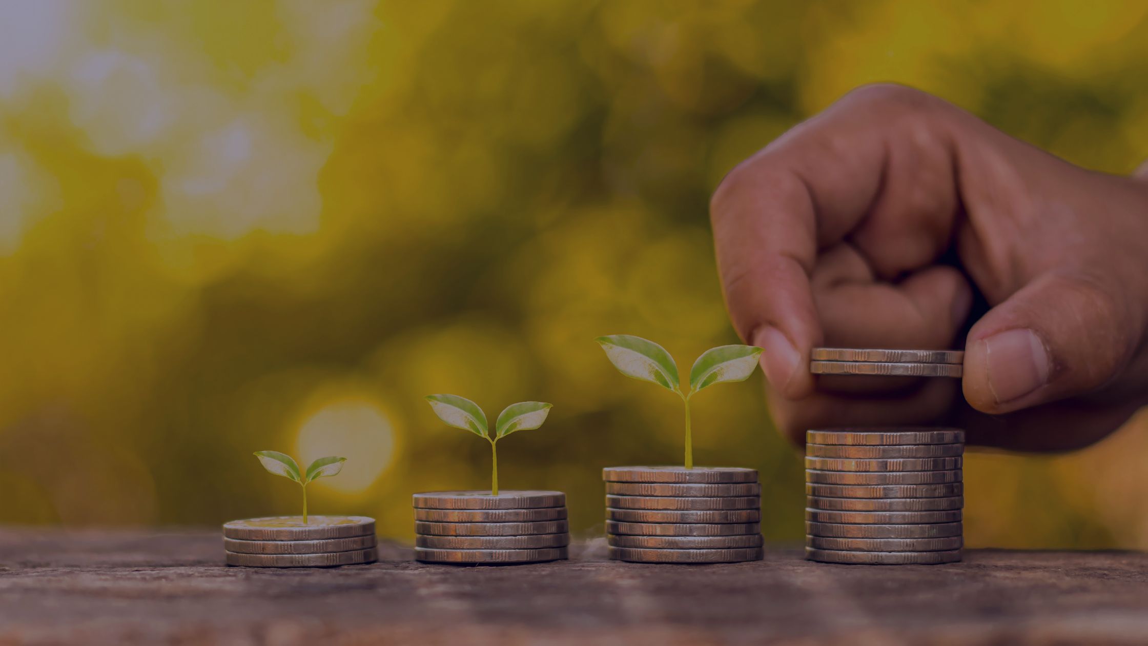 Building Stability as a Relocated Professional